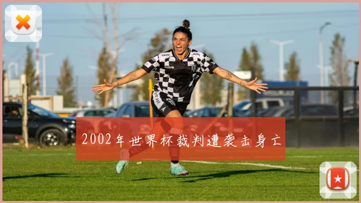 2002年世界杯裁判遭袭击身亡