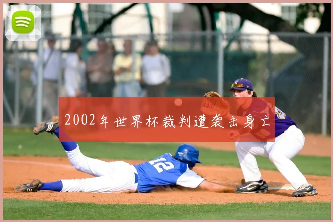 2002年世界杯裁判遭袭击身亡