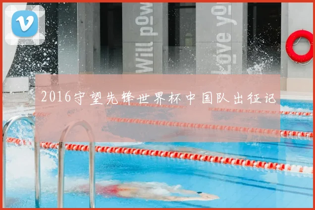 2016守望先锋世界杯中国队出征记