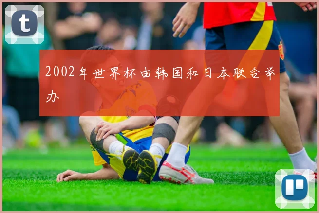 2002年世界杯由韩国和日本联合举办