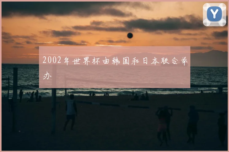 2002年世界杯由韩国和日本联合举办