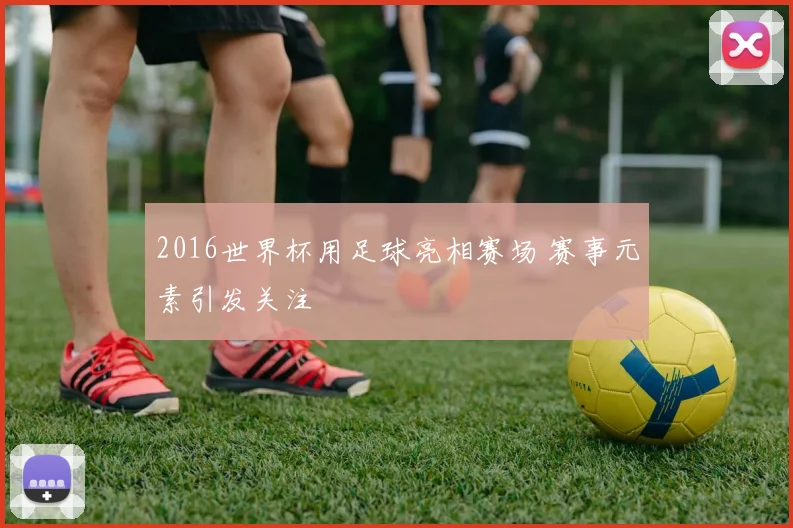 2016世界杯用足球亮相赛场 赛事元素引发关注