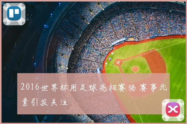 2016世界杯用足球亮相赛场 赛事元素引发关注