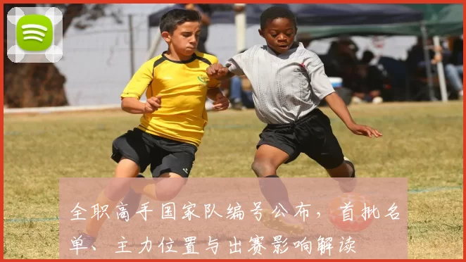 全职高手国家队编号公布，首批名单、主力位置与出赛影响解读