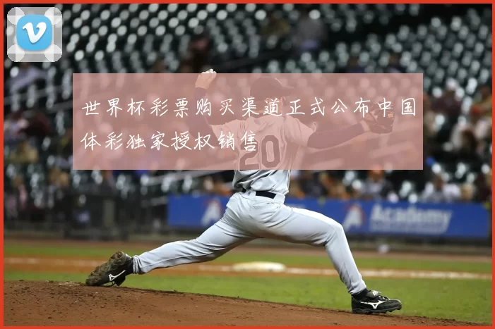 世界杯彩票购买渠道正式公布中国体彩独家授权销售