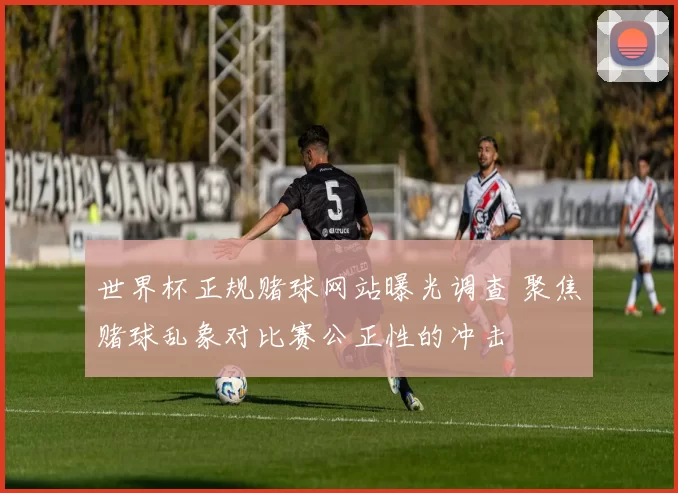 世界杯正规赌球网站曝光调查 聚焦赌球乱象对比赛公正性的冲击