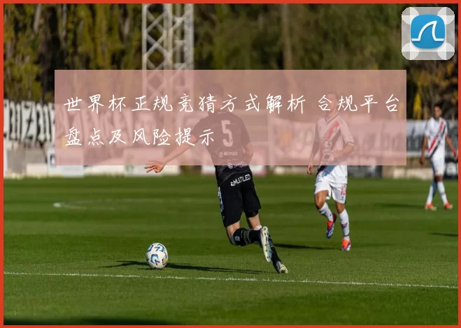 世界杯正规竞猜方式解析 合规平台盘点及风险提示
