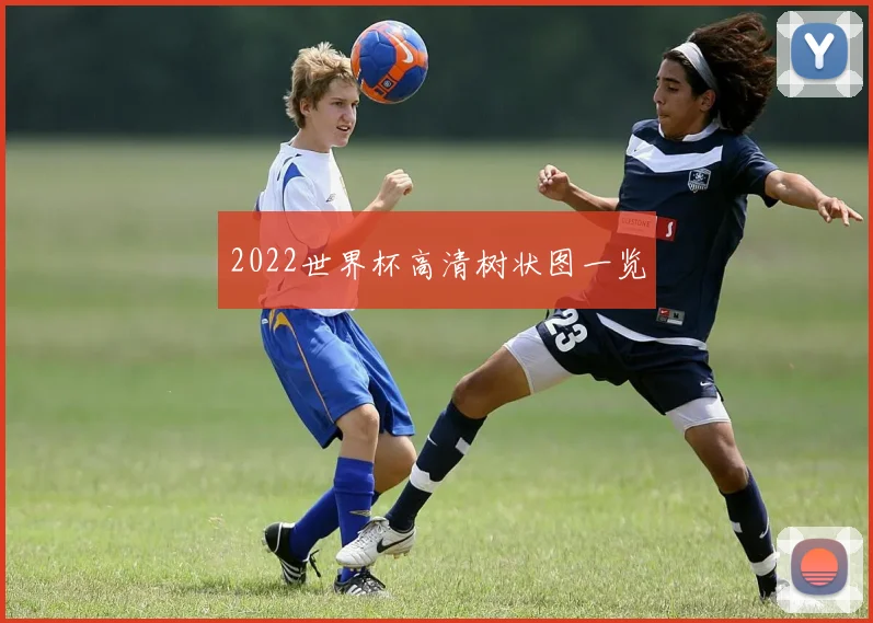 2022世界杯高清树状图一览