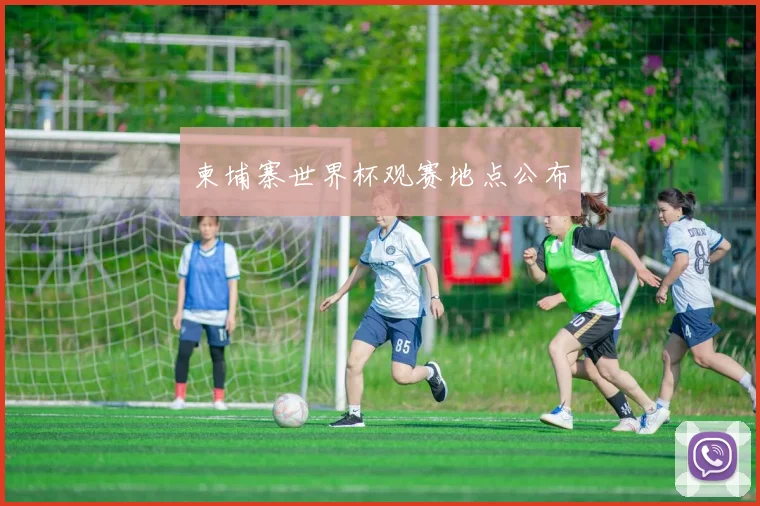 柬埔寨世界杯观赛地点公布